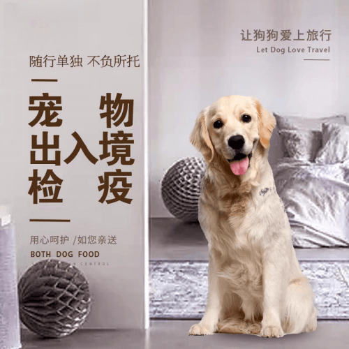 石家庄市宠物托运到哥伦比亚猫狗宠物入境规定和