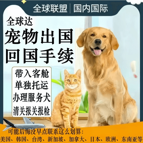 石家庄市宠物托运到柬埔寨宠物入境规定和要求