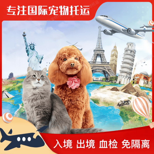 石家庄市宠物托运到美国宠物入境最新规定和要求
