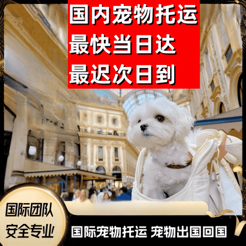 石家庄市到澳大利亚（澳洲）宠物入境规定和要求